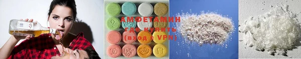 гидра Щигры